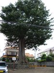 IMG_0572一里塚.jpg