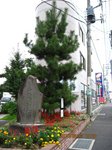 IMG_0599見返り松.jpg