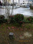 IMG_3068三角点.jpg