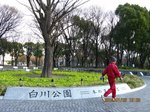 IMG_3120白川公園.jpg