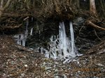IMG_3744氷.jpg