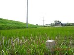 IMG_6210三角点.jpg