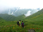 IMG_6842お花畑.JPG