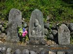 IMG_7279batou.jpg