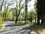 IMG_7303toge.jpg