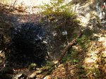 IMG_8354kotaki.jpg
