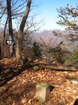 IMG_8408sanchou.jpg