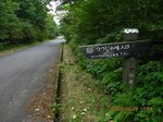 IMG_9062舗装路.jpg