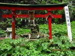 IMG_9223役行者.jpg