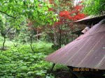Img_0245haioku.jpg