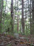 Img_0249sankaku.jpg