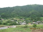 Img_0464chinka.jpg