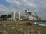 Img_0538大鳥居.jpg