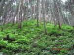 Img_0764sanpuku.jpg