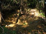 Img_0832ana.jpg