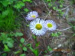 Img_0860himejoon.jpg