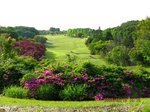 Img_0866golf.jpg