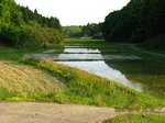 Img_0891tanbo.jpg
