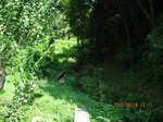 Img_1011登山口.jpg