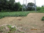 Img_1573sankaku.jpg