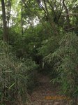 Img_1585yamamiti.jpg