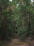 Img_1594sandou.jpg