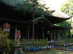 Img_1598佐竹寺.jpg