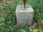 Img_1773sankaku.jpg