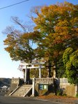 Img_1878若宮八幡宮.jpg