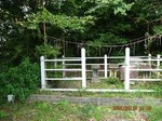 Img_1895santyou.jpg