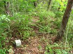Img_1922sankaku.jpg
