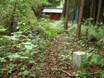 Img_1955sankaku.jpg