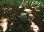 Img_1982sancho.jpg
