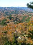 Img_2005露岩.jpg