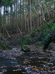 Img_2091沢.jpg