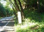Img_2132torituki.jpg