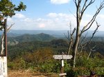 Img_2266choujou.jpg