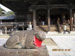 Img_2383牛.jpg
