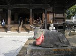 Img_2384牛.jpg