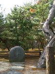 Img_2404村松晴嵐.jpg