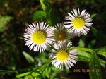 Img_2480himejo.jpg