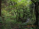 Img_2492keikoku.jpg
