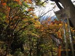 Img_2759fujiijpg.jpg