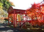 Img_2866sobaya.jpg