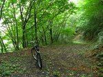 Img_2902rindo.jpg