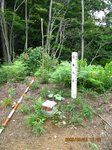 Img_2903sankaku.jpg