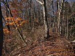 Img_3128one.jpg