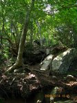 Img_3376kinone.jpg