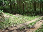 Img_3398toritsuki.jpg