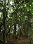 Img_3457hanazono.jpg